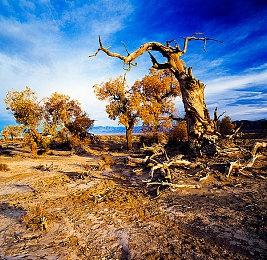 艰难的决定 日版Xbox Series X|S宣布涨价5000日元