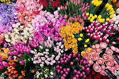 B社不想为《上古卷轴6》更换新引擎 将重蹈《星空》覆辙？