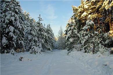 梦土无际，挑战不息！《枪火重生》“无垠梦境”正式上线，冬季限时折扣
